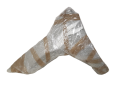 20250714_081955.png