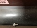 20250714_104103.jpg
