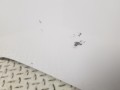 20250714_141424.jpg