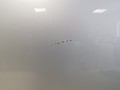 20250714_145449.jpg