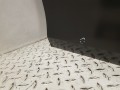 20250904_103552.jpg