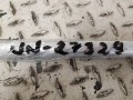 20250728_140220.jpg