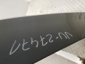 20250819_091518.jpg