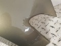 20250819_130708.jpg