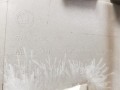 20250820_115825.jpg