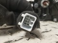 20250908_130356.jpg