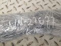 20250911_130847.jpg