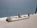 20250613_092457.jpg