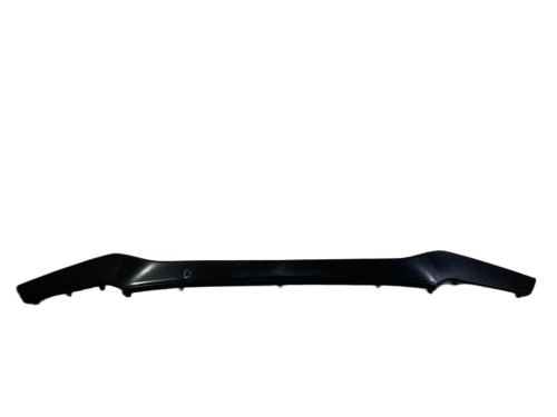 IMG_7168.png