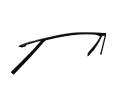 IMG_1401.png