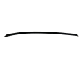 IMG_2919.png