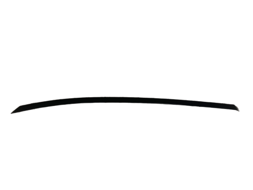 IMG_2919.png