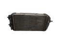 IMG_2938.png
