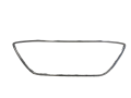 IMG_6551.png
