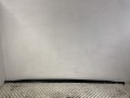 IMG_6990.JPG