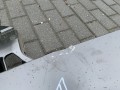 IMG_1612.JPG