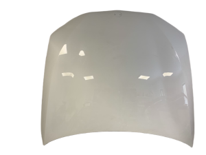 ORYGINALNA MASKA POKRYWA SILNIKA BMW X3 G01 X2 G04 17-25 LESZNO