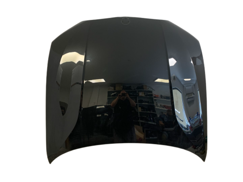 IMG_6369.png